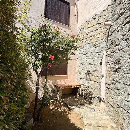 Margio فيلة